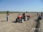 阿克陶县召开冬小麦播种现场会 - 农机网