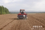 伊宁县冬小麦开播了 - 农机网