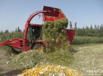 克州：免费为扶贫点贫困户实施玉米收获作业 - 农机网