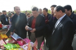 2016新疆红枣产业发展主题论坛在和田举办 - 林业厅