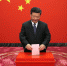 习近平参加北京市区人大代表换届选举投票 - 招商发展局