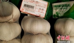 精选的大蒜价格卖到39.99元/公斤。　史玉江 摄 - 中国新疆网