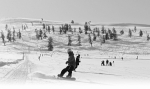 游客在阿尔泰山野雪公园体验滑雪。  □李常大摄 - 招商发展局