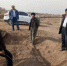 新疆农业大学专家为吐鲁番市高昌区葡萄开墩机械化作业技术把脉开方 - 农机网