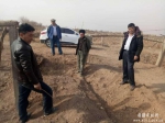 新疆农业大学专家为吐鲁番市高昌区葡萄开墩机械化作业技术把脉开方 - 农机网