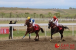 新疆裕民县将举办赛马大会上演“速度与激情”(图) - 人民网