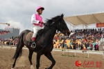 新疆裕民县将举办赛马大会上演“速度与激情”(图) - 人民网