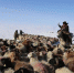 直击新疆兵团哈萨克族牧民春季转场 - 人民网