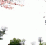 新疆新源县那拉提大草原五月飞雪 犹如水墨画卷（组图） - 人民网