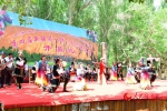 5月6日，第四届“新疆第一鲜·火洲桑葚季”盛大开幕。李晓啸 摄 - 人民网