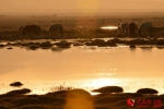 日出时分的新疆和静县巴音布鲁克湿地。 - 人民网