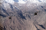 新疆军区运输直升机编队实战演练 - 人民网