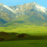 新疆托克逊黑山草原。李靖海 摄 - 人民网
