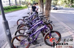 新疆本土企业试水共享单车 - 中国新疆网