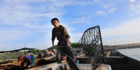 渔民忙碌着卸载捕捞的野生鱼。年磊 摄 - 人民网