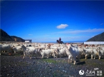 新疆:古尔图夏牧场草原风光旖旎美如画（组图） - 人民网