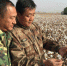 新疆兵团棉田和人民大会堂紧密相连 - 人民网
