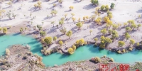 今年新疆向塔里木河下游生态输水达6个多“天池” - 中国新疆网