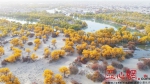 今年新疆向塔里木河下游生态输水达6个多“天池” - 中国新疆网