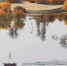 【高清组图】新疆塔河两岸大片胡杨层林尽染宛如浓重水彩画 - 市政府