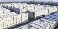 新疆棉花产量质量双丰收 - 中国新疆网