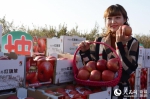 新疆阿克苏“冰糖心”苹果喜获丰收（组图） - 人民网