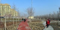 乌鲁木齐各区县紧锣密鼓推进“地变绿” - 市政府