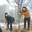 米东区动员居民植树两千余棵 自己动手绿化庭院 - 市政府