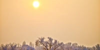 新疆克拉玛依市乌尔禾区雾凇雪景（艾克摄影） - 人民网
