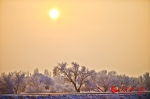 新疆克拉玛依市乌尔禾区雾凇雪景（艾克摄影） - 人民网