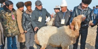 新疆7.6万余名“访惠聚”驻村工作队员和群众同吃同住，辞旧迎新 - 农业信息网