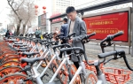 共享单车迎春“苏醒” 单车企业陆续恢复投放 - 市政府