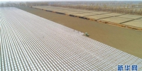#（经济）（1）新疆塔里木：棉花播种忙 - 人民网
