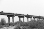 新疆塔里木河特大桥项目全面复工 - 人民网