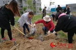 乌鲁木齐:“绿园工程”让民族团结花儿大院添绿意（图） - 人民网