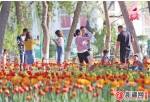 近130万人次五一游新疆 天气晴朗乌鲁木齐市民假期游园踏青赏花忙 - 市政府