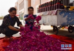 6月5日，居民在和田市伊力其乡的“玫瑰巴扎”晾晒玫瑰花。 - 人民网