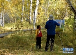 （脱贫攻坚·图文互动）新疆哈巴河：白桦林迎画家 画家助兴农家 - 中国新疆网