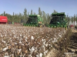 2018年自治区棉花全程机械化暨残膜回收机械化技术田间日活动在阿瓦提县召开 - 农机网