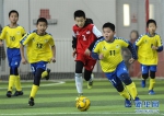 新疆首届体育产业杯青少年足球联赛开赛 - 中国新疆网