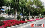 乌鲁木齐高新区（新市区）23处造型花堆陆续亮相街头 - 市政府