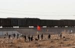 新疆铁路搭建千里绿色长廊 - 中国新疆网