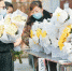 今年清明更“清明”花祭网祭蔚成风 - 市政府