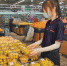 地产杏子新鲜上市 新疆杏品种资源丰富，目前已知100余个品种 - 市政府