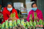 员工们正在分捡包装芦笋。　买买提艾力 摄 - 中国新疆网