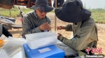 考古工作人员对发现的碎片进行分类整理。　缪文琴 摄 - 中国新疆网