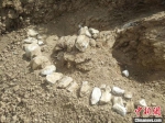 图为考古现场。　尚国军 摄 - 中国新疆网